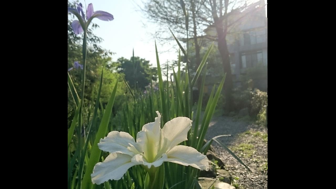 Stone House Homestay Yilan Zewnętrze zdjęcie
